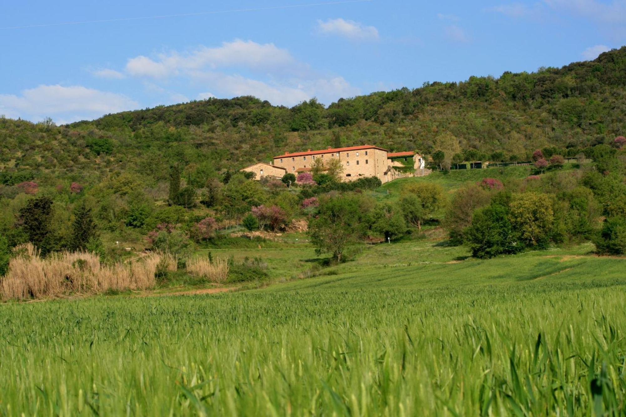 Agriturismo San Ottaviano Monterotondo  Exterior photo