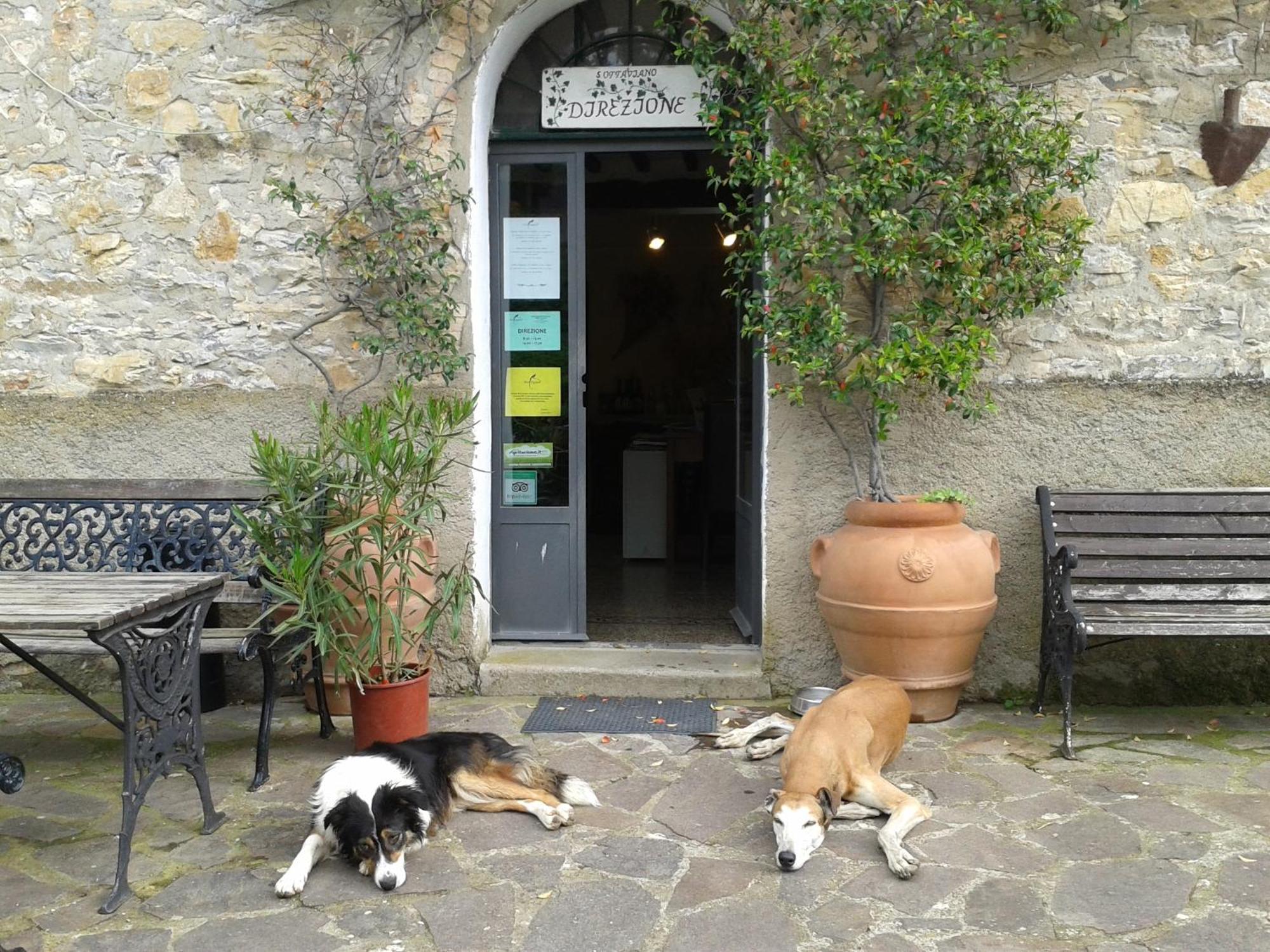 Agriturismo San Ottaviano Monterotondo  Exterior photo